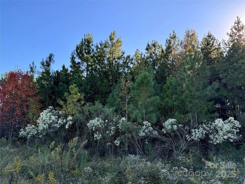 00 Ne Connector ByPass, Albemarle, NC 28001