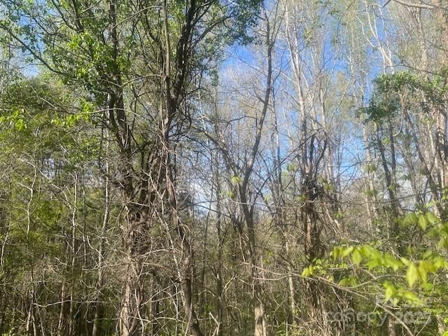 Bee Tree Rd, Salisbury, NC 28146