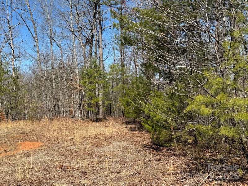 00 Shady Bark Ln, Rutherfordton, NC 28139