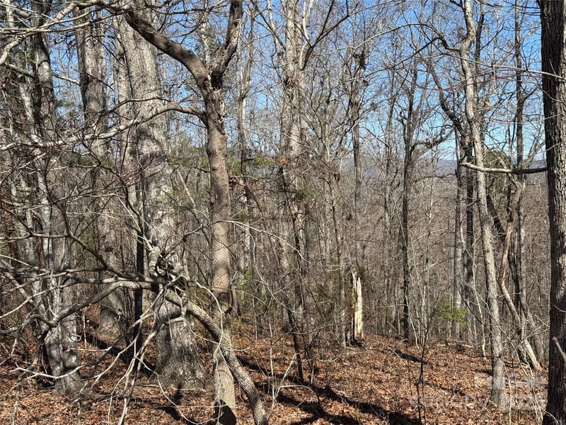 00 Shady Bark Ln, Rutherfordton, NC 28139