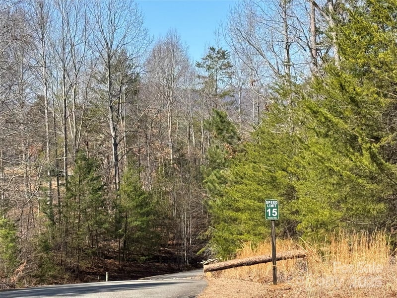 00 Shady Bark Ln, Rutherfordton, NC 28139
