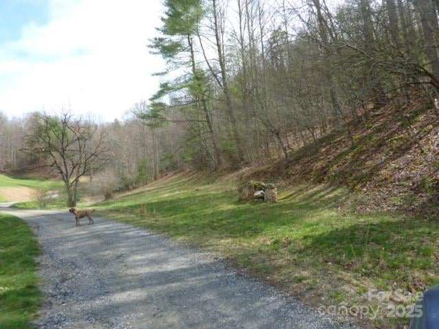 tbd Joe Tweed Rd, Marshall, NC 28753