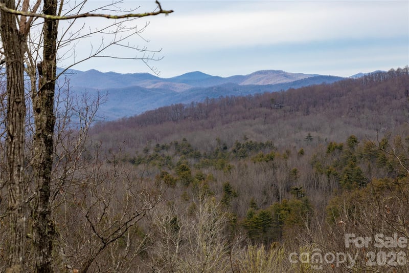 371 Falls View Dr, Pisgah Forest, NC 28768