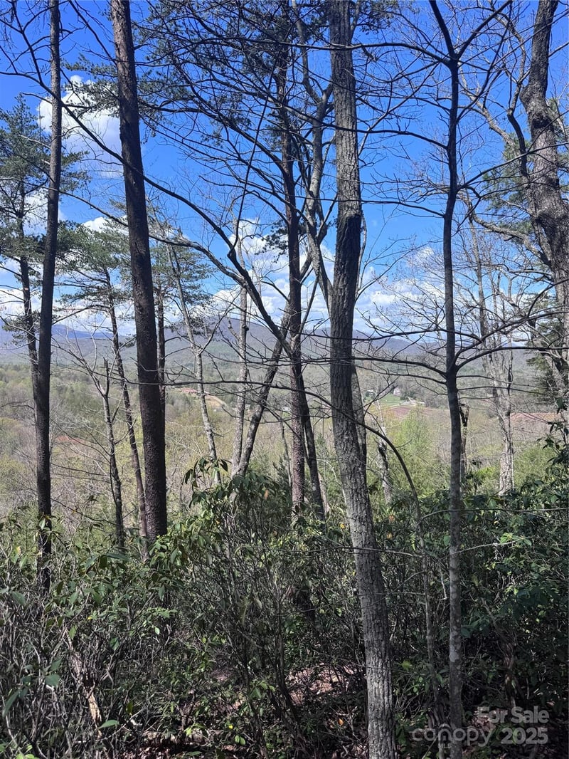 High Pines Loop #162, Lake Lure, NC 28746