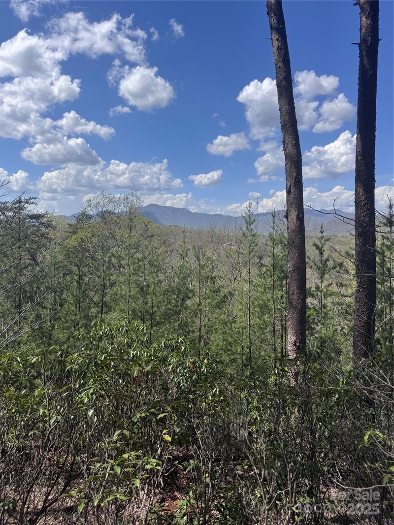 High Pines Loop #162, Lake Lure, NC 28746