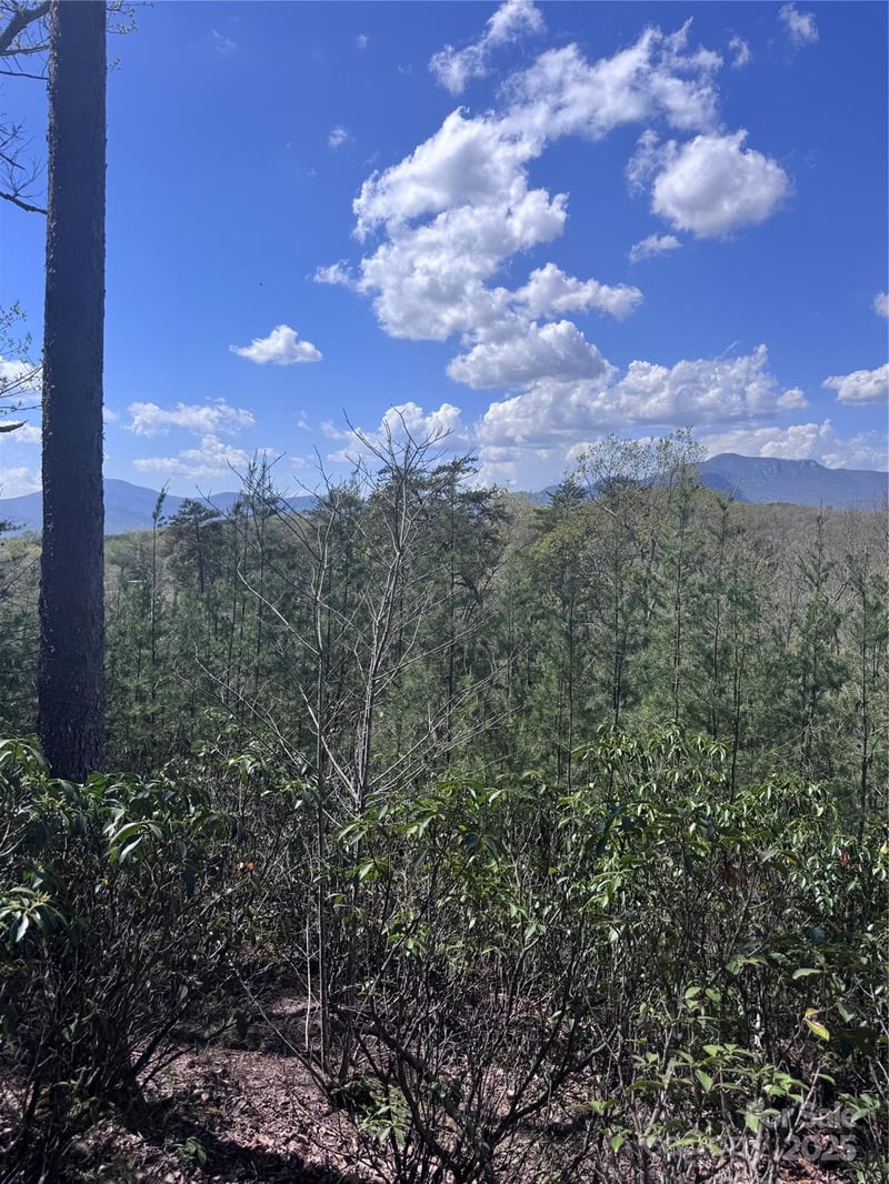 High Pines Loop #162, Lake Lure, NC 28746