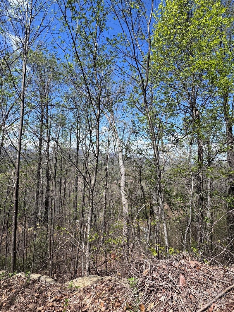 High Pines Loop #162, Lake Lure, NC 28746