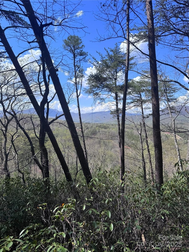 High Pines Loop #162, Lake Lure, NC 28746