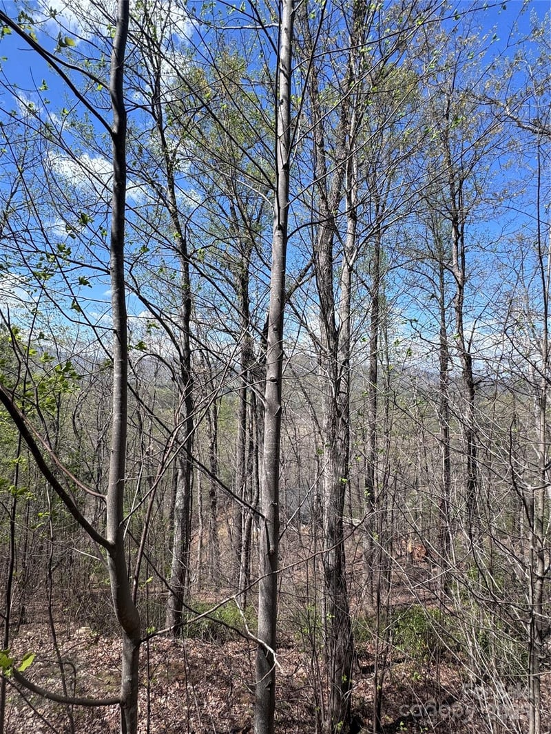 High Pines Loop #158, Lake Lure, NC 28746