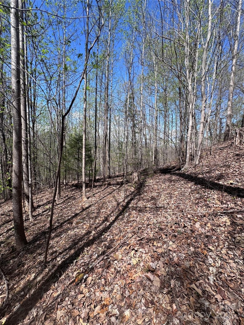 High Pines Loop #158, Lake Lure, NC 28746