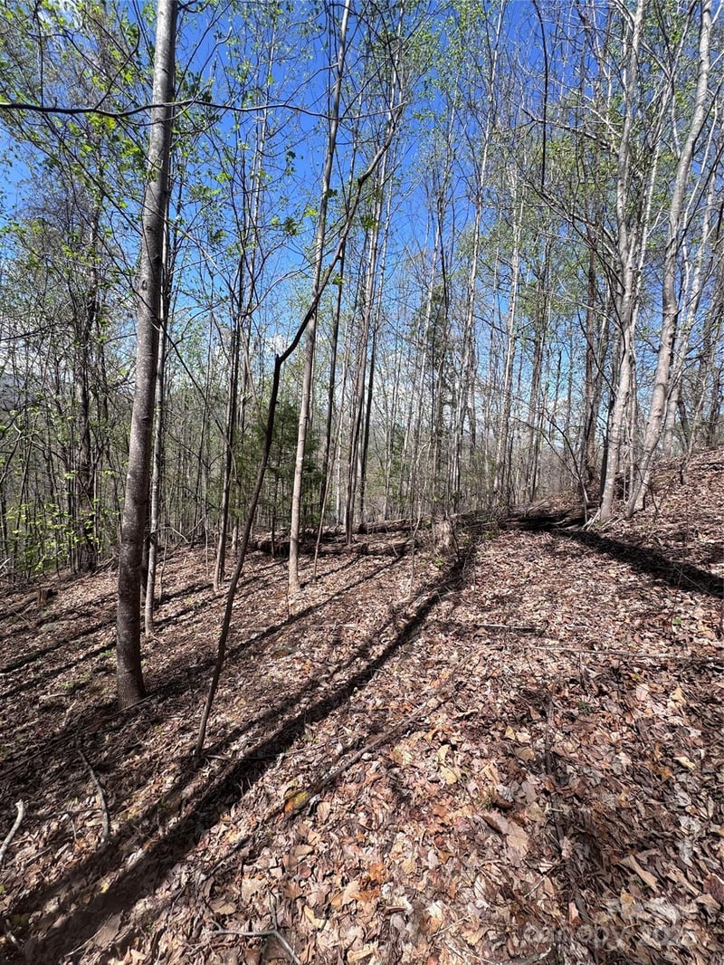 High Pines Loop #158, Lake Lure, NC 28746