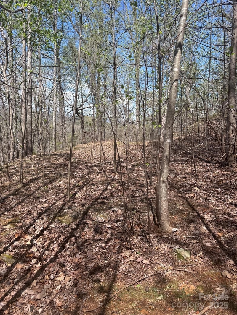 High Pines Loop #158, Lake Lure, NC 28746