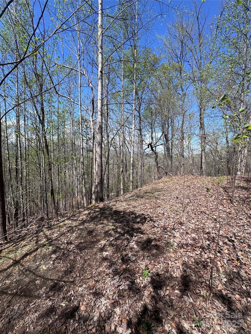 High Pines Loop #158, Lake Lure, NC 28746