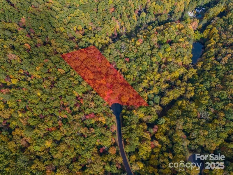 99999 Caddis Ln #91, Mills River, NC 28742