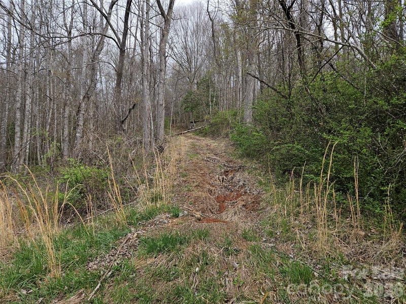 99999 Patton Hill Rd #3, Swannanoa, NC 28778