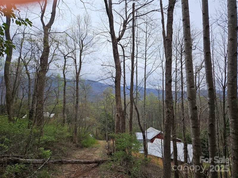 99999 Patton Hill Rd #3, Swannanoa, NC 28778