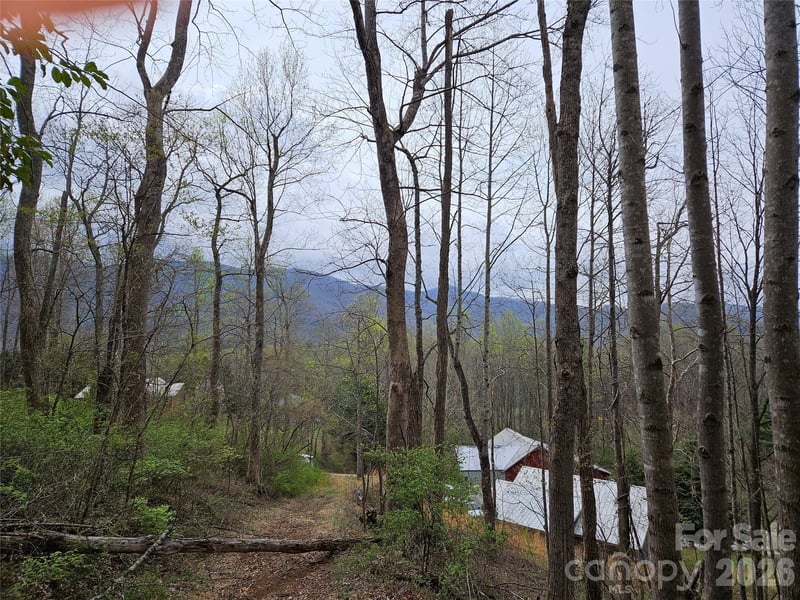99999 Patton Hill Rd #3, Swannanoa, NC 28778