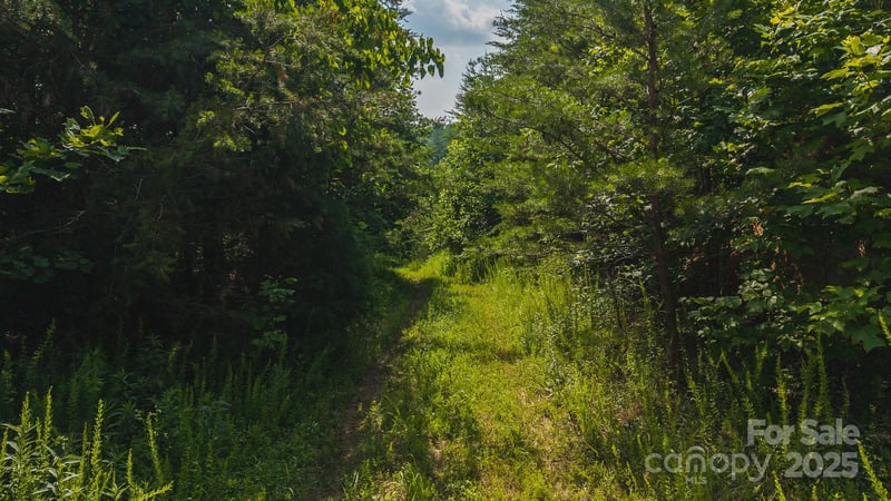 Old Vashti Rd #2, Taylorsville, NC 28681
