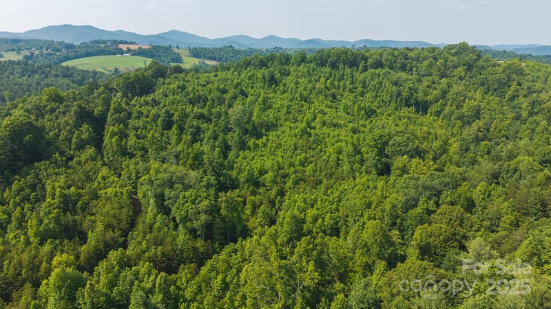 Old Vashti Rd #2, Taylorsville, NC 28681