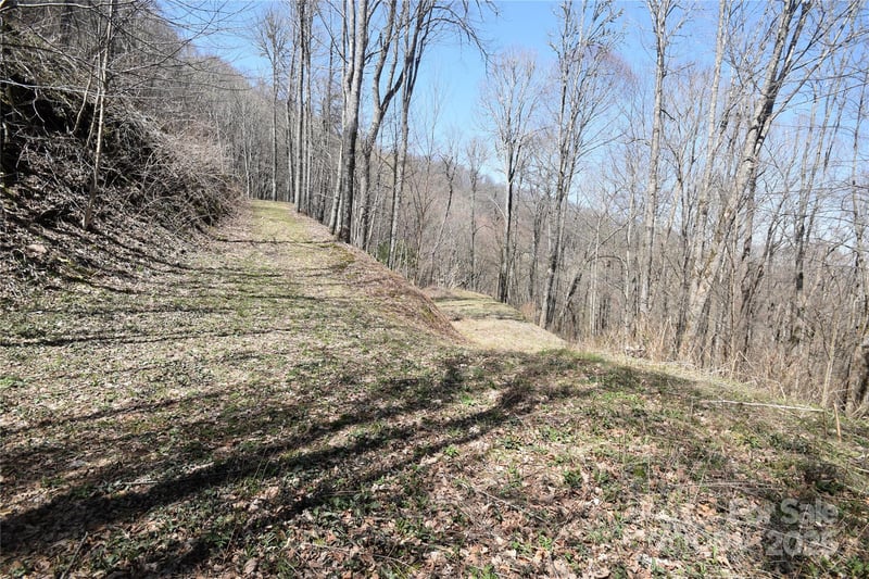 000 Big Laurel Rd #A-16 & A-17, Waynesville, NC 28785