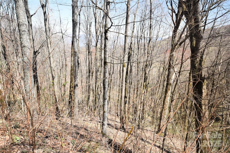 000 Big Laurel Rd #A-16 & A-17, Waynesville, NC 28785