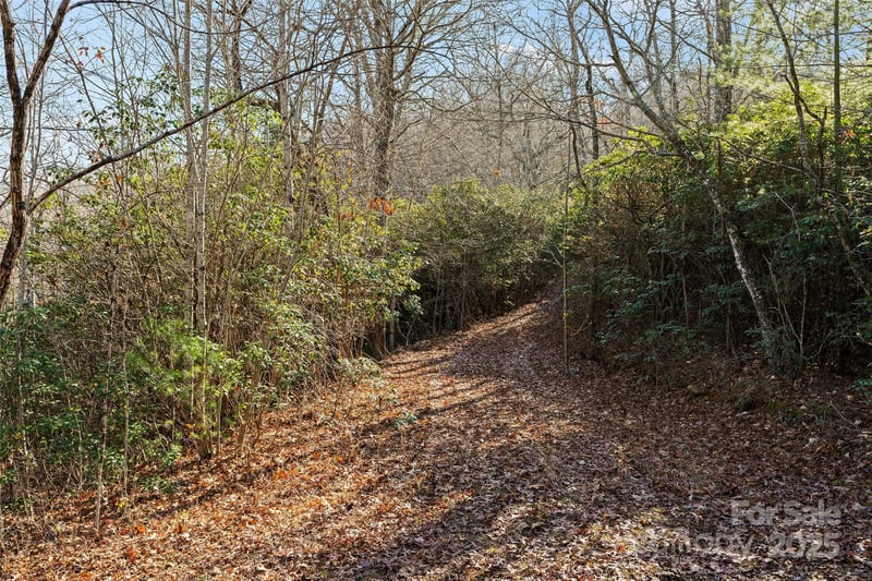 69 - 81 Winter Moon Rg, Sylva, NC 28779