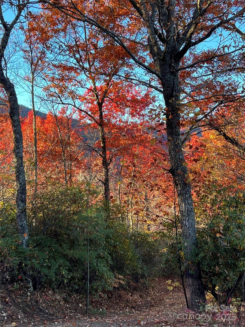 69 - 81 Winter Moon Rg, Sylva, NC 28779
