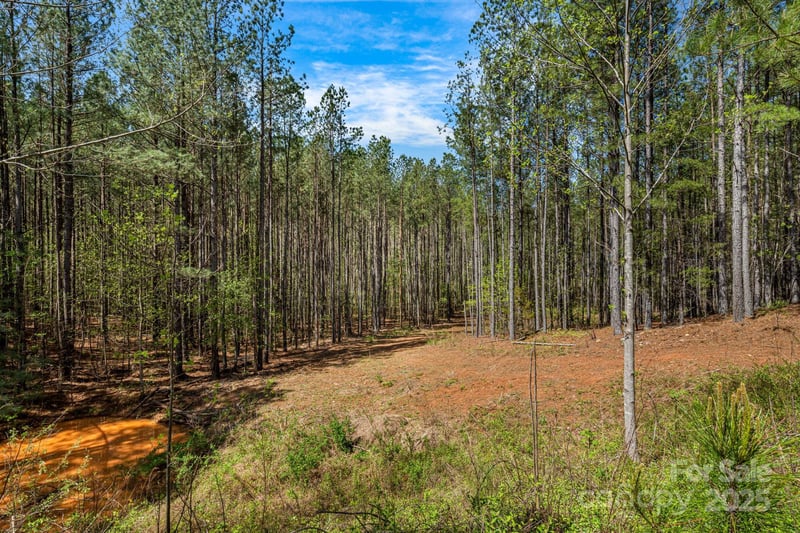 19 Sunset Dr #19, Mill Spring, NC 28756