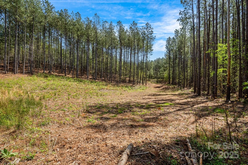 19 Sunset Dr #19, Mill Spring, NC 28756
