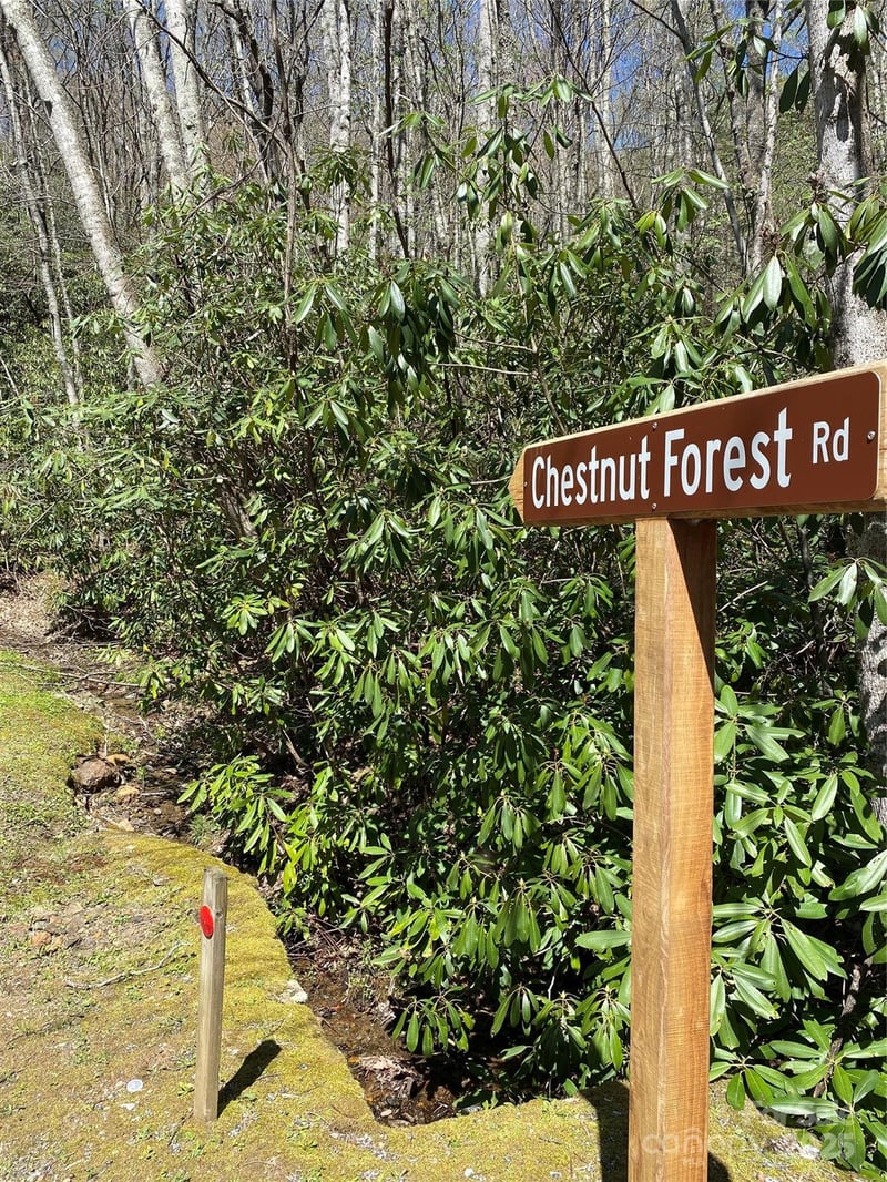 99999 Chestnut Forest Rd #412 & 413, Fairview, NC 28730