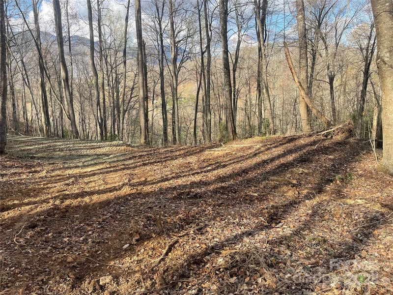 4 Copperhead Cv, Sylva, NC 28779