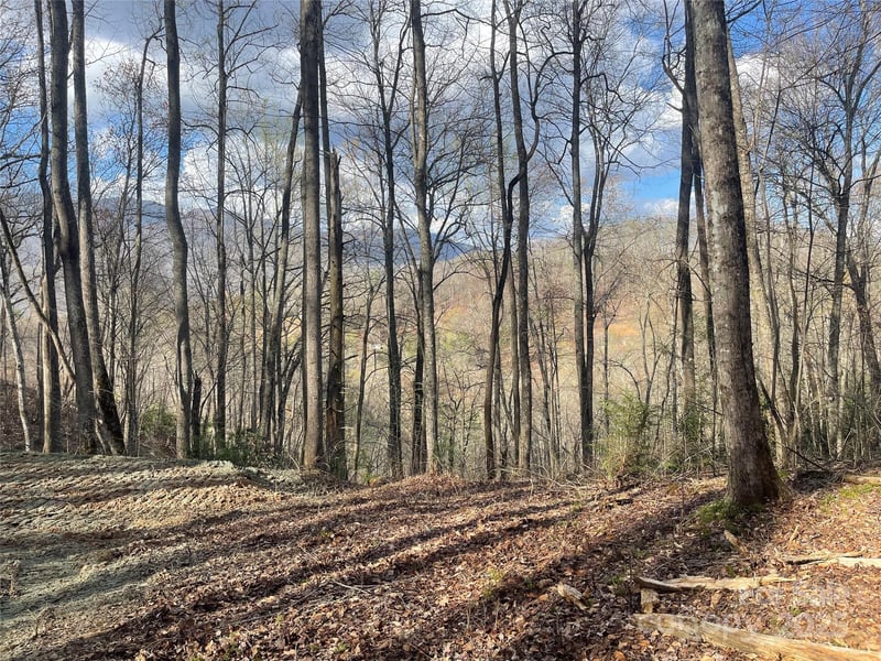 4 Copperhead Cv, Sylva, NC 28779