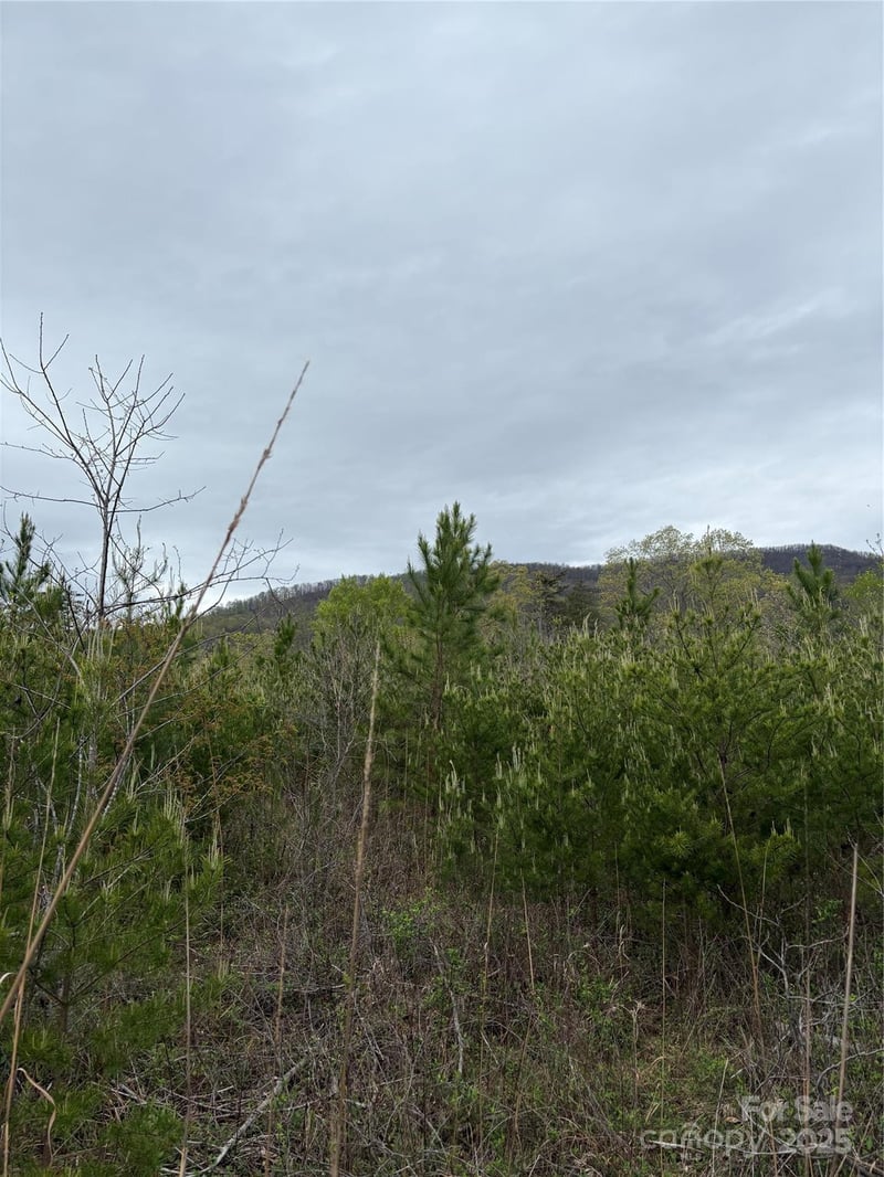 Rose Hollow Dr #Tract 1, Mill Spring, NC 28756