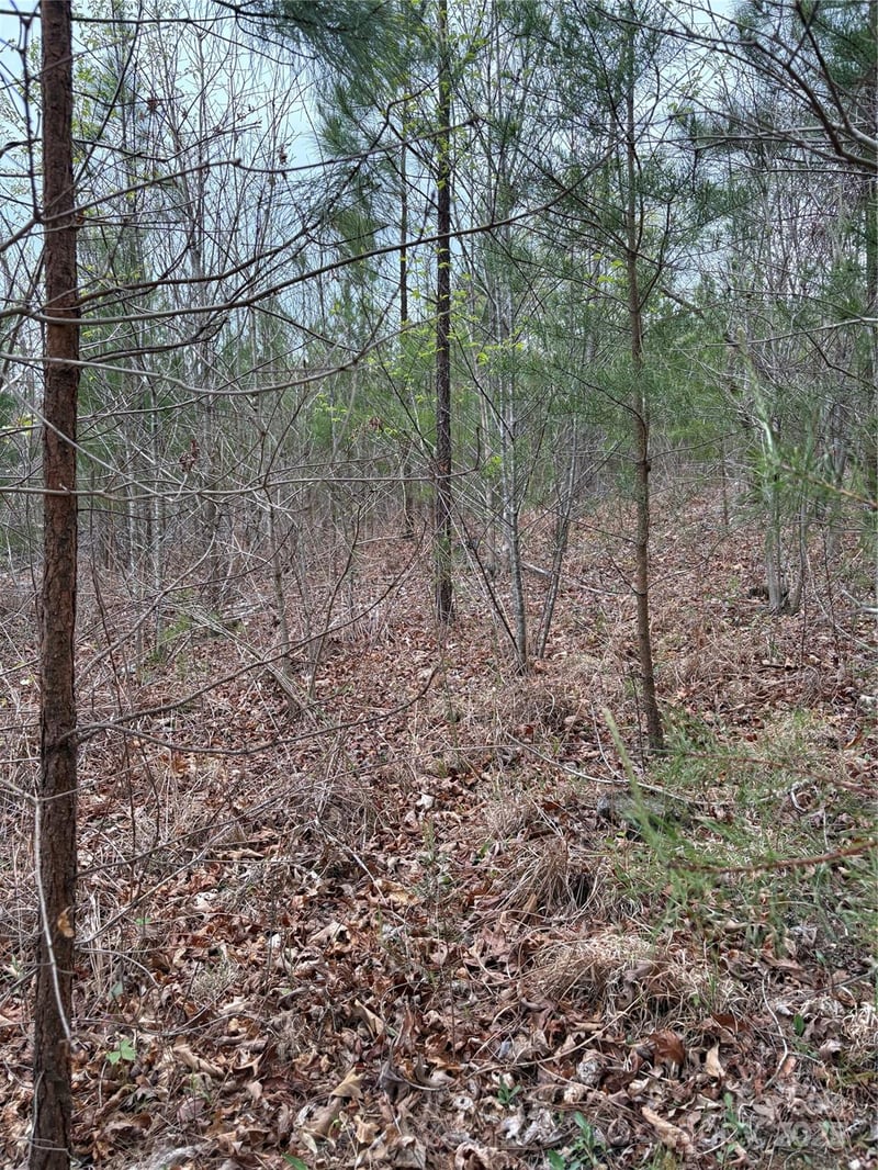 Rose Hollow Dr #Tract 1, Mill Spring, NC 28756