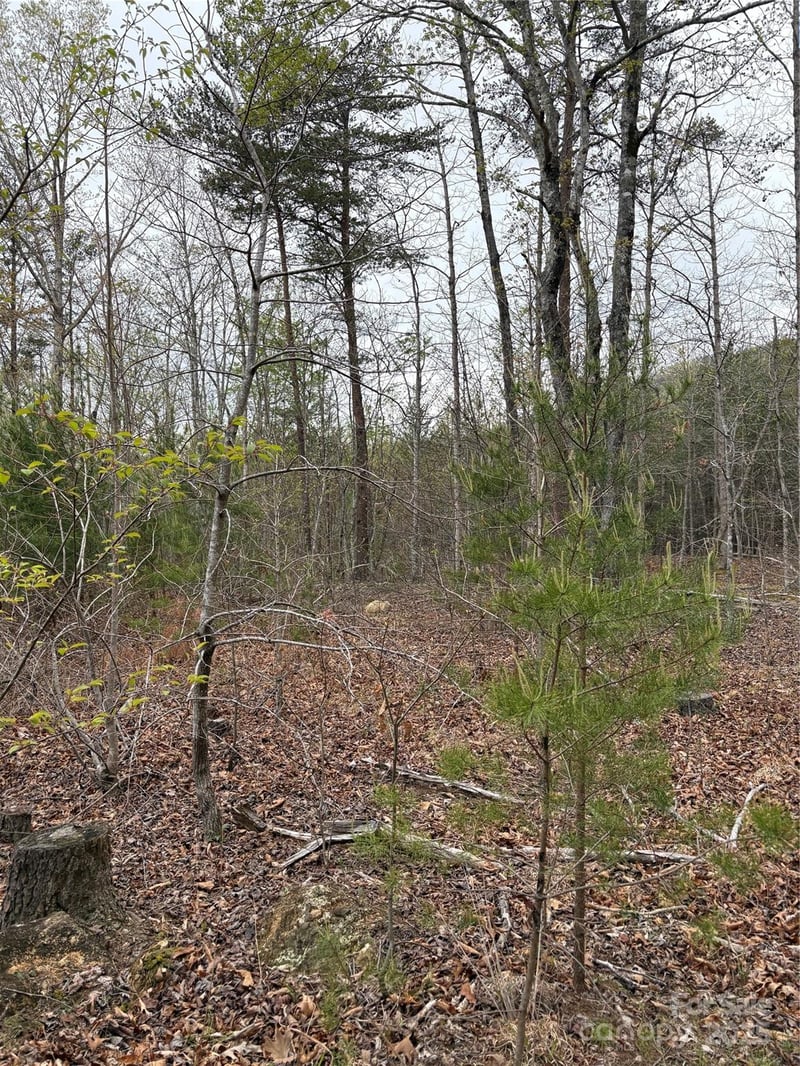 Rose Hollow Dr #Tract 1, Mill Spring, NC 28756