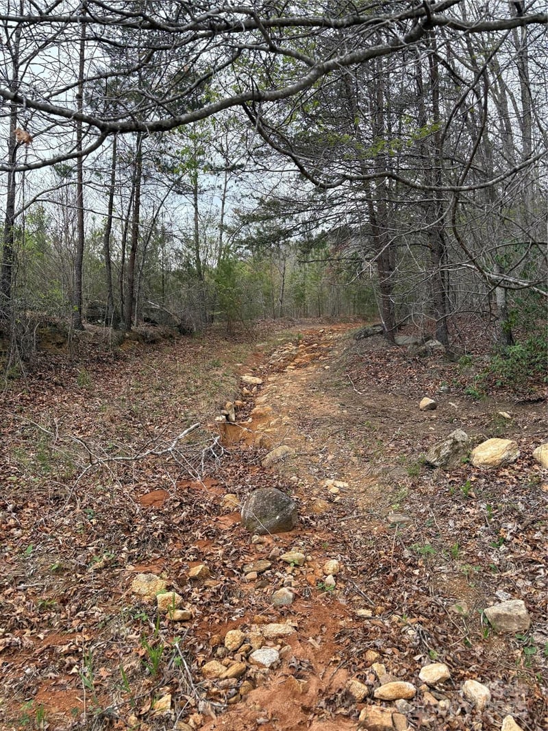 Rose Hollow Dr #Tract 1, Mill Spring, NC 28756