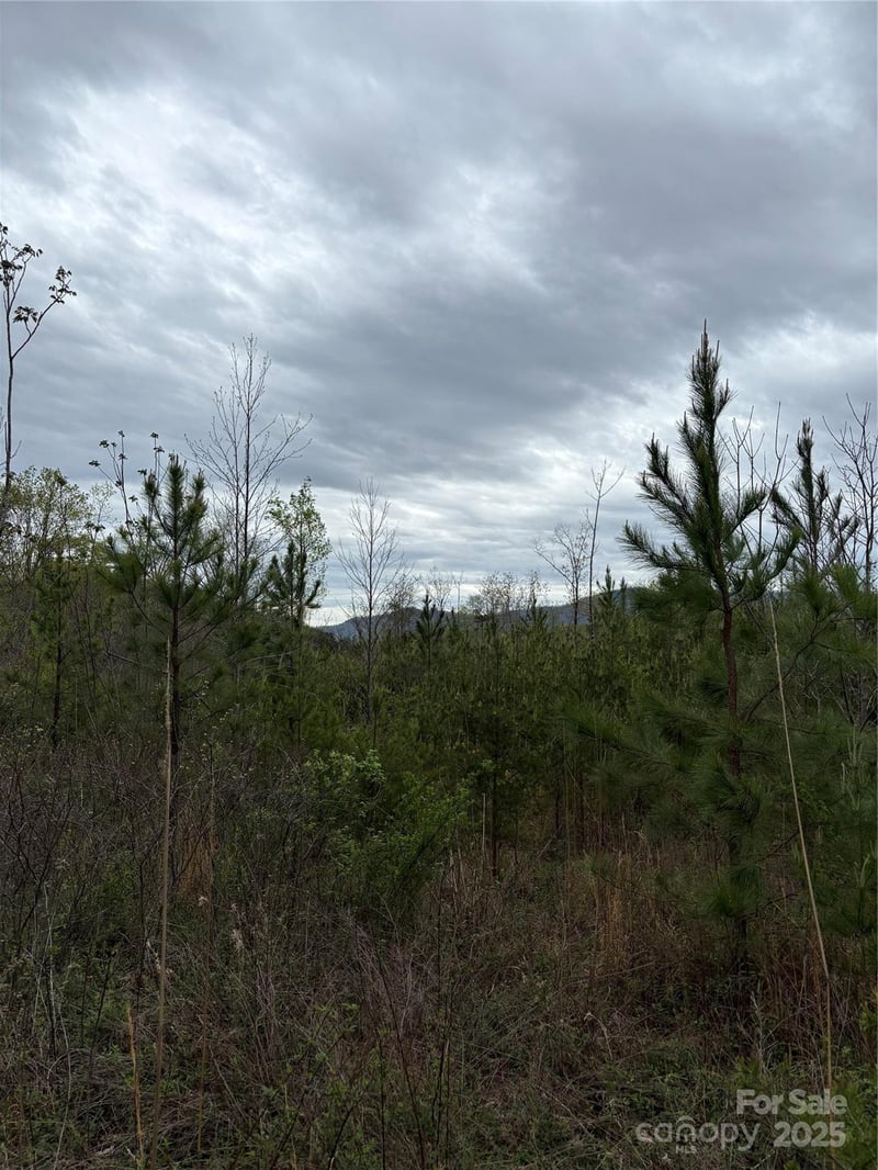 Rose Hollow Dr #Tract 1, Mill Spring, NC 28756