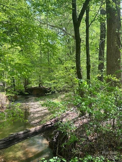tbd Pleasant Hill Church Rd, Wadesboro, NC 28170