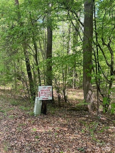 tbd Pleasant Hill Church Rd, Wadesboro, NC 28170