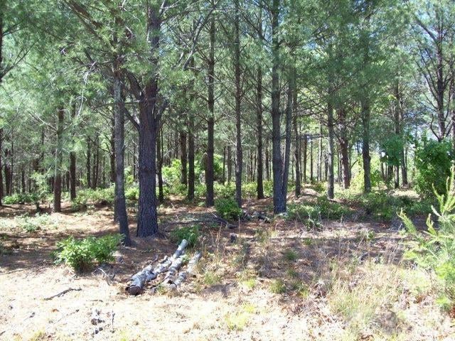 1552 Bear Cliff Dr #32, Nebo, NC 28761