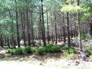 1552 Bear Cliff Dr #31, Nebo, NC 28761