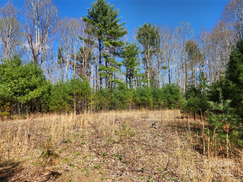 6033 Hwy 321 Hw, Sugar Grove, NC 28679