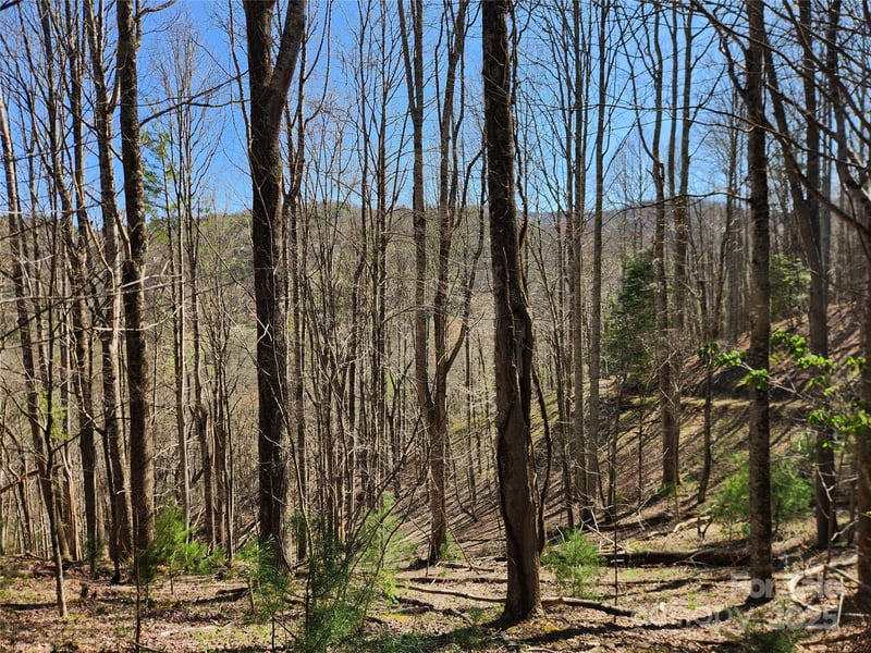6033 Hwy 321 Hw, Sugar Grove, NC 28679