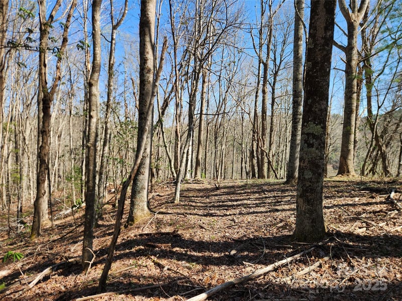 6033 Hwy 321 Hw, Sugar Grove, NC 28679