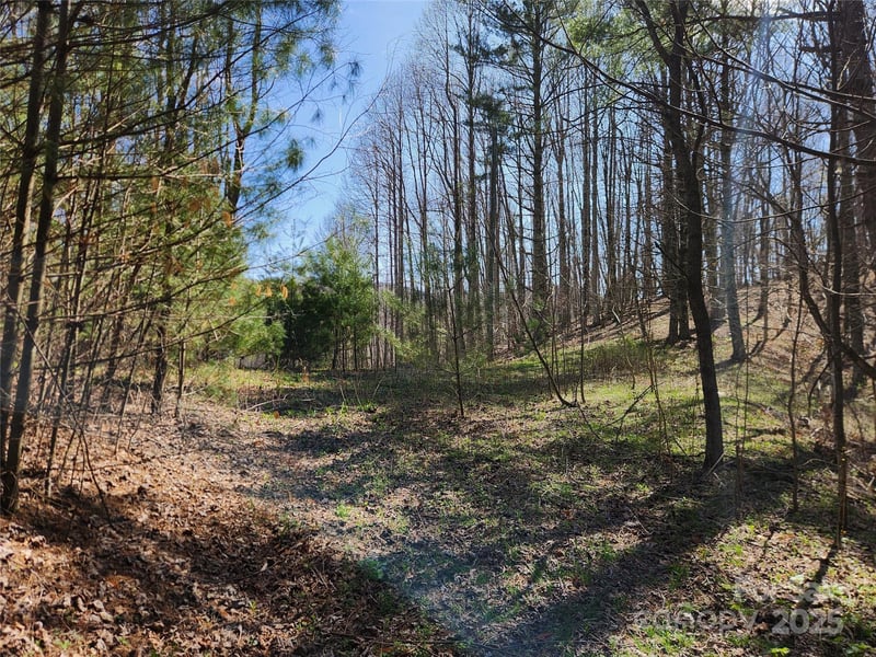 6033 Hwy 321 Hw, Sugar Grove, NC 28679
