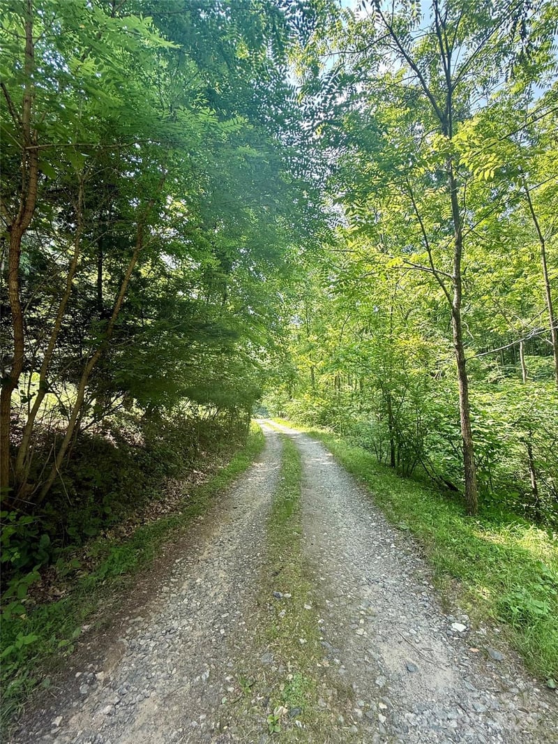 700 Wooded Mountain Trl, Mars Hill, NC 28754