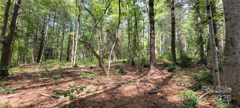 TBA Scenic Ln #240, Granite Falls, NC 28630