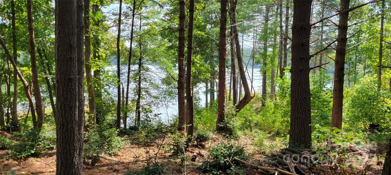 TBA Scenic Ln #240, Granite Falls, NC 28630