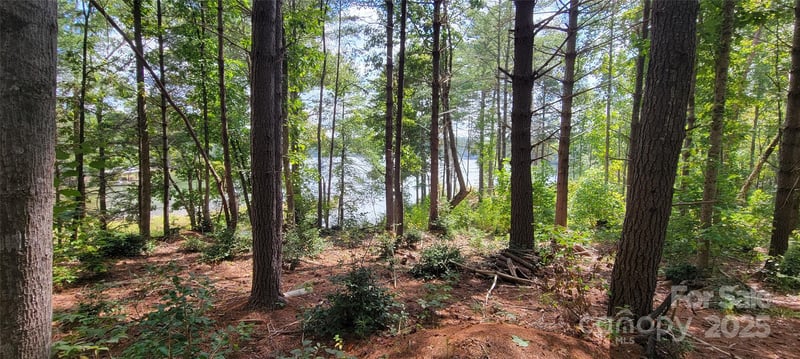 TBA Scenic Ln #240, Granite Falls, NC 28630