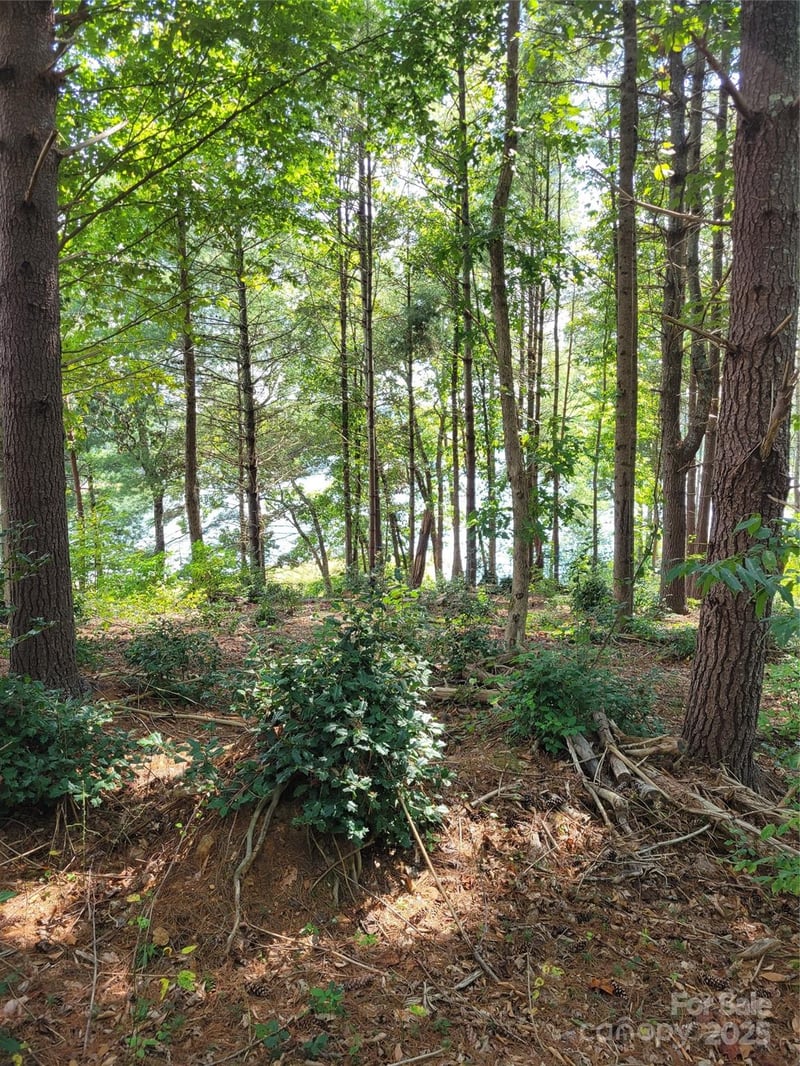 TBA Scenic Ln #240, Granite Falls, NC 28630